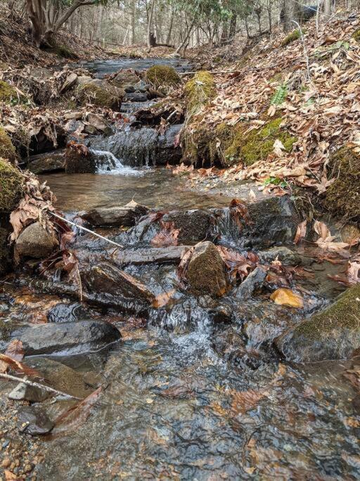 Вилла Serene & Cozy - Peaceful View - Fireplace - Creek Fleetwood Экстерьер фото